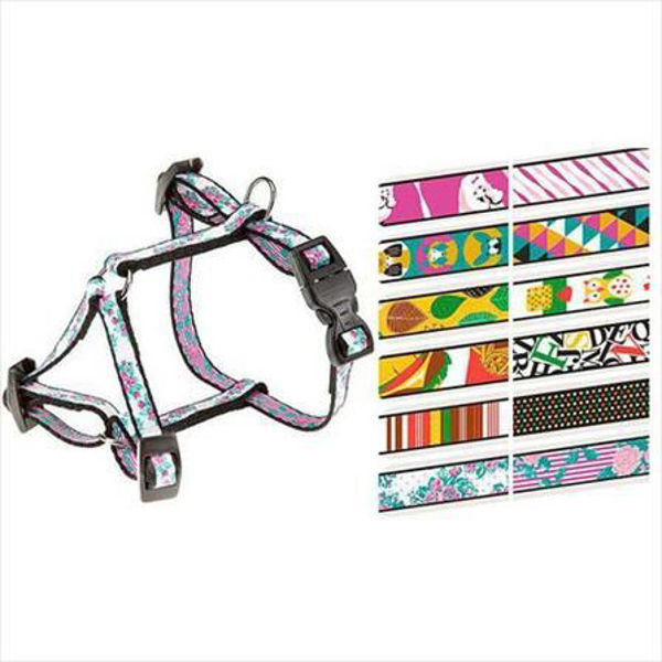 Imagen de FANTASIA P XXS PETTORINA