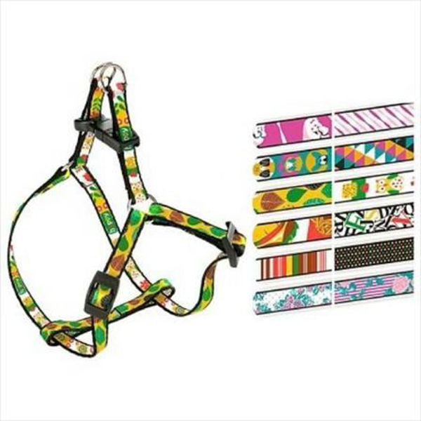 Imagen de Arnés Fantasia P Small
