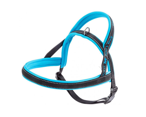 Imagen de PRETAL SPORT DOG P MED BLU