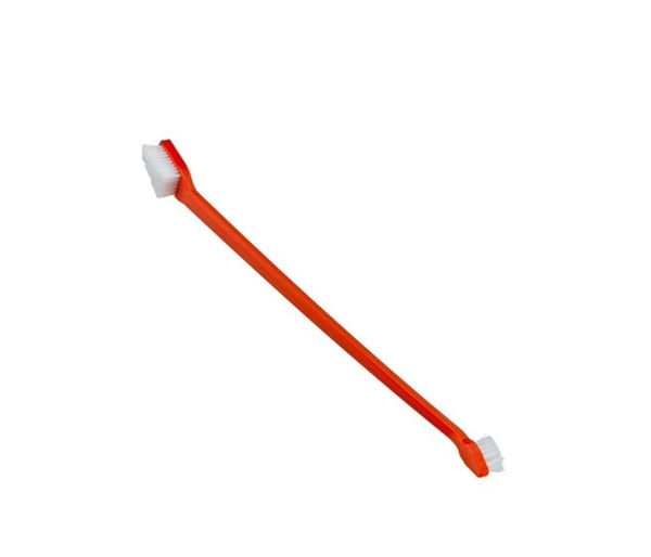 Imagen de CEPILLO DE DIENTES PERRO GRO 5939