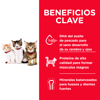 Imagen de HILLS Gatito Healthy Development 3,2 kg + Figuritas
