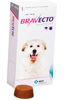 Imagen de ANTIPARASITARIO BRAVECTO Perro 1400 mg + 40KG + Juguete