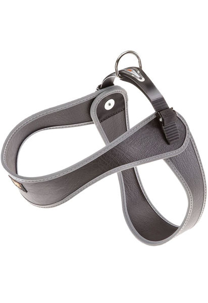 Imagen de PETTORINA AGILA 9 NEGRA1