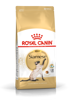 Imagen de ROYAL CANIN Feline Gato Siamés 1,5 kg + Comedero + Ratón
