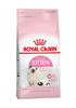 Imagen de ROYAL CANIN Feline Gatito Kitten 1,5 Kg + Comedero