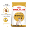 Imagen de ROYAL CANIN Feline Gato Siamés 1,5 kg + Comedero + Ratón