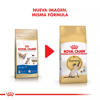 Imagen de ROYAL CANIN Feline Gato Siamés 1,5 kg + Comedero + Ratón