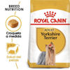Imagen de ROYAL CANIN Perro Yorkshire Razas Mini 6 kg + Orejas