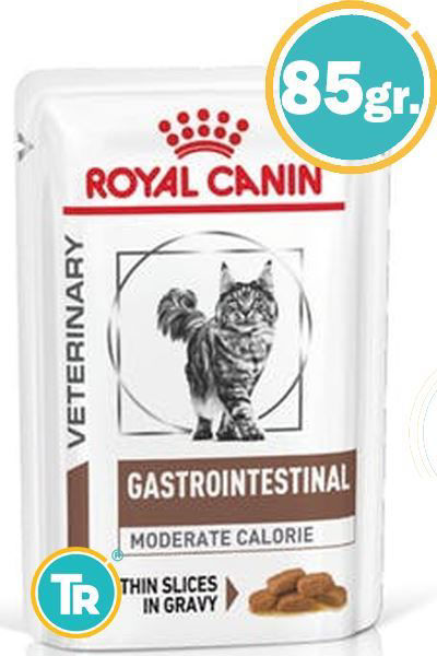 Imagen de SALSA ROYAL CANIN Gastrointestinal Para Gatos 85gr