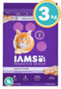 Imagen de IAMS Cat Kitten 3kg