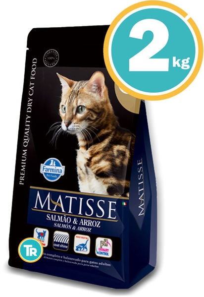 Imagen de MATISSE Gato Salmón y Arroz 2kg