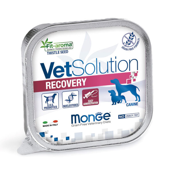 Imagen de PATE VET SOLUTION Perro Recovery 150gms