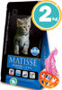 Imagen de MATISSE Gatitos 2kg + Pelota