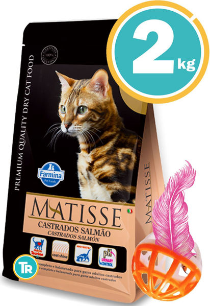 Imagen de MATISSE Gato Castrado Salmón 2 kg + Pelota