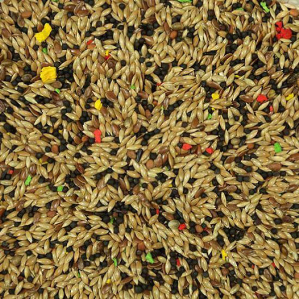 Imagen de Alimento Para Canarios