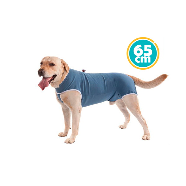 Imagen de ROPA POSTQUIRURJICA MACHO TALLE Nº 9