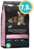 Imagen de EQUILIBRIO Gatitos 7,5 kg