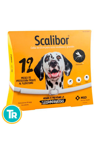 Imagen de COLLAR SCALIBOR  GRANDE 65 CM