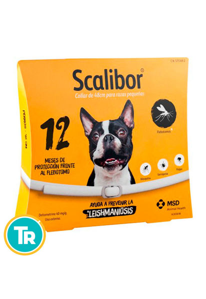 Imagen de COLLAR SCALIBOR 48 CM