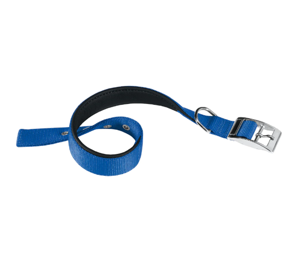 Imagen de COLLAR DAYTONA C40/69 AZUL
