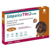 Imagen de SIMPARICA TRIO 12 mg 5 a 10 kg 1 comprimido