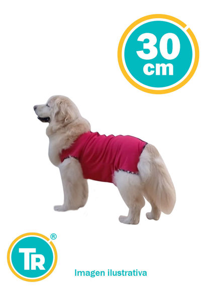 Imagen de ROPA POSTQUIRURJICA MACHO TALLE Nº 2