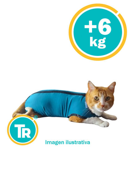 Imagen de ROPA  GATOS ESPECIAL POST QUIRURGICA  TALLE N 4