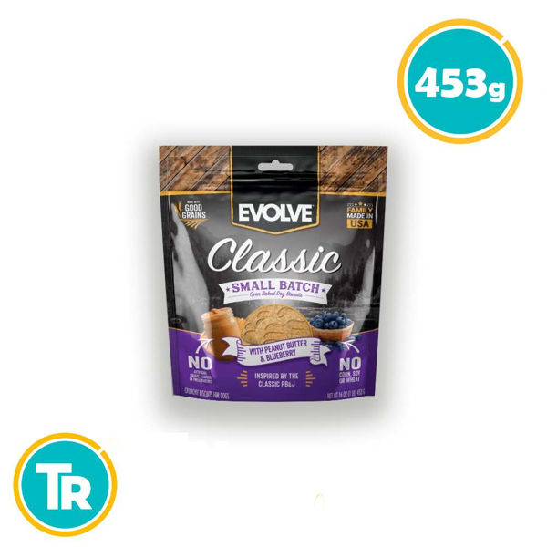 Imagen de EVOLVE PEANUT BUTTER Y BLUEBERRY X453GR
