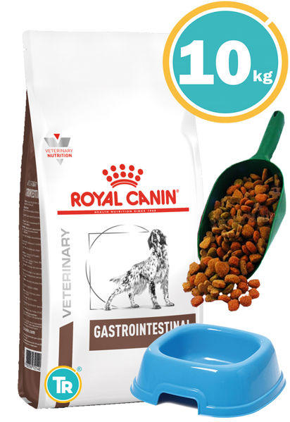 Imagen de ROYAL CANIN Intestinal 10kg. - TRAT. DIGESTIVO + Pala + Comedero