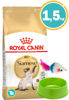 Imagen de ROYAL CANIN Feline Gato Siamés 1,5 kg + Comedero + Ratón