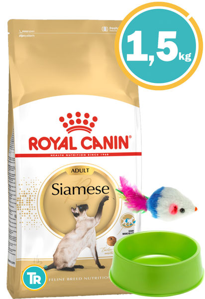 Imagen de ROYAL CANIN Feline Gato Siamés 1,5 kg + Comedero + Ratón