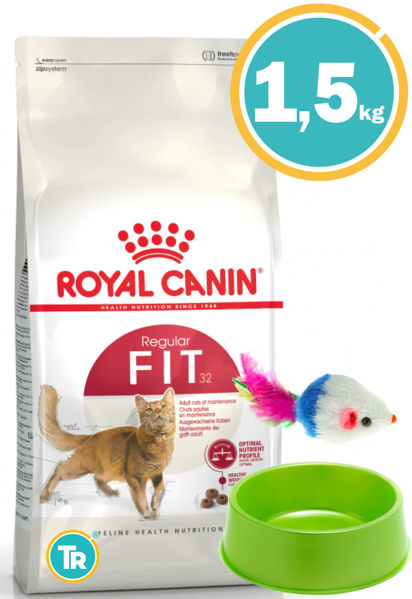 Imagen de ROYAL CANIN Gato In & Outdoor Fit 32 1,5 kg + Ratón + Comedero