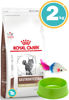Imagen de ROYAL CANIN Gato Gastrointestinal 2kg + Ratón + Comedero
