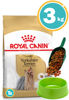 Imagen de ROYAL CANIN Perro Yorkshire Razas Mini 3kg + Comedero y Pala