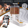 Imagen de COMEDERO AUTOMATICO WIPET c/Conectividad Wi-Fi PERROS Y GATOS