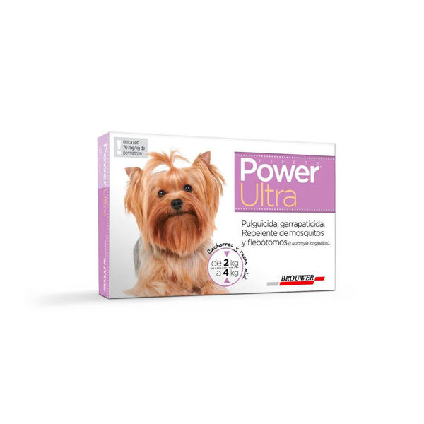 Imagen de PIPETA POWER ULTRA PERROS 2 A 4KG (VIOLETA)
