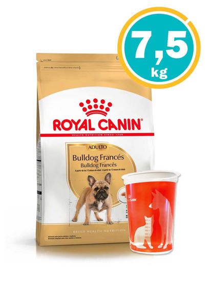 Imagen de ROYAL CANIN Bulldog Adulto Mediano y Mini  7,5kg + Vaso