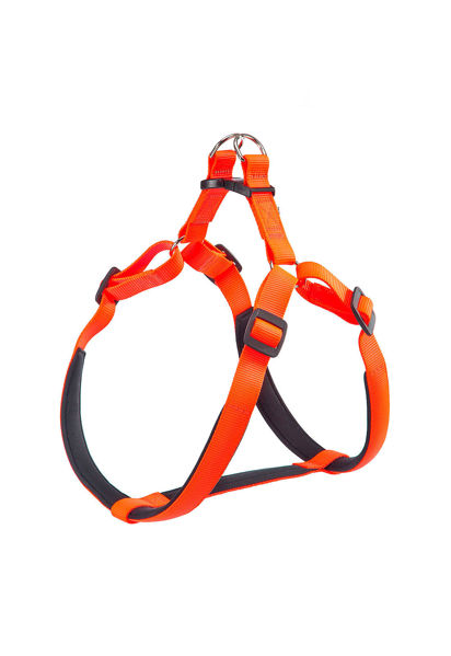 Imagen de ARNÉS DAYTONA P SMALL NARANJA PETTORINA