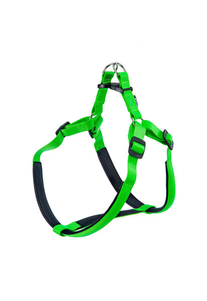 Imagen de ARNÉS DAYTONA P MEDIUM VERDE