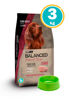 Imagen de Vitalcan Recipe BALANCED Perro Adulto Cerdo y Arroz 3kg + Comedero