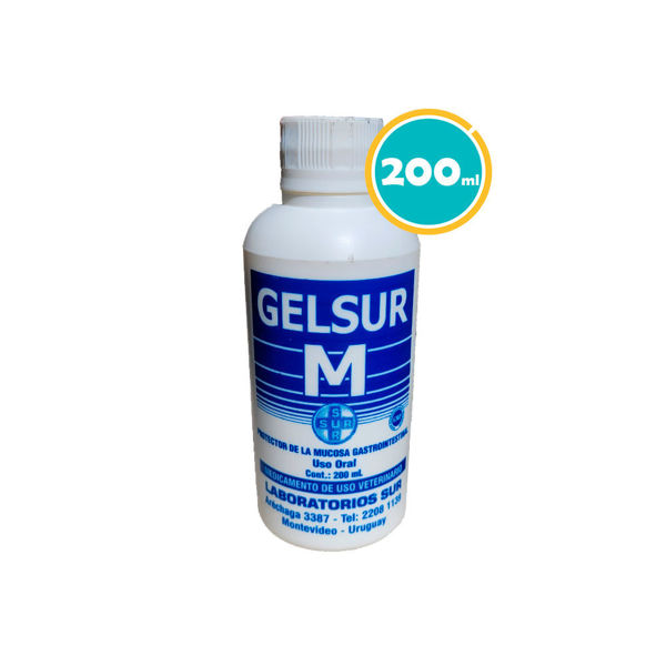 Imagen de GELSUR M 200 Ml Protector Gastrointestinal Oral