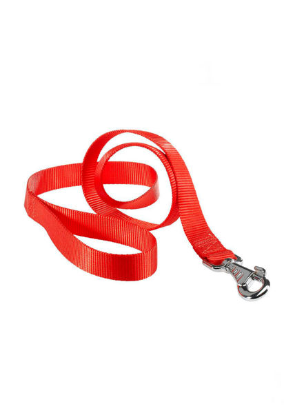 Imagen de CORREA DAYTONA G15/120 ROSSO GUINZ