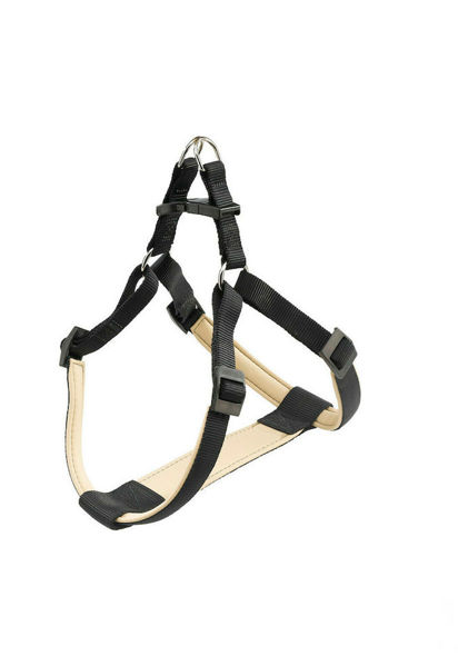 Imagen de ARNÉS DAYTONA P LARGE NEGRA