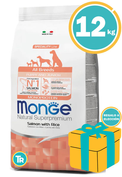 Imagen de MONGE Cachorro Monoproteina Salmon & Rice  12KG