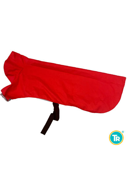 Imagen de CAPA GABARDINA IMPERMEABLE CON CUELLO TALLE 4