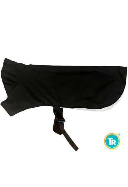 Imagen de CAPA GABARDINA IMPERMEABLE CON CUELLO TALLE 2