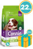 Imagen de CONNIE Cachorro 22kg