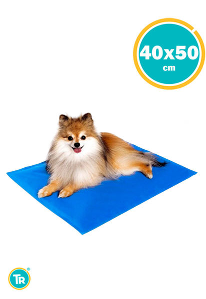 Imagen de COLCHONETA REFRESCANTE Nª2 40 X 50CM