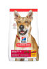 Imagen de HILLS Adulto Original 15kg + Figuritas