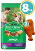 Imagen de DOG CHOW Edad Madura 8kg + Patas de pollo
